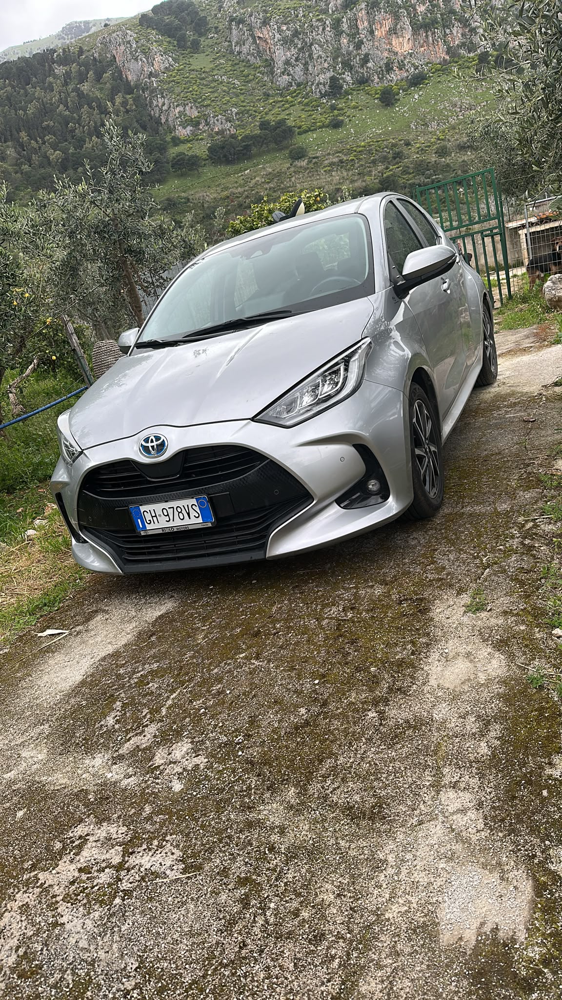 Toyota Yaris 1